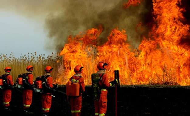 新疆森林消防总队：组织开展“灭火安全训练周”活动